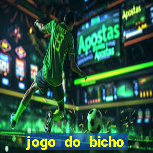 jogo do bicho crash bingo